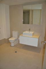 Bathroom (2010-11-30)