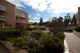 Complex (2010-08-11)
