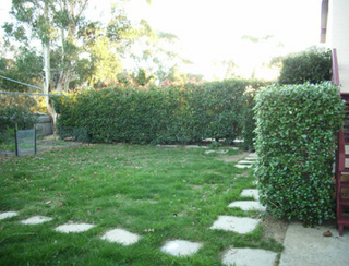 Rear yard (2005-04-28)