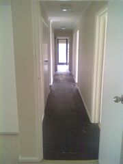 Standard Photo (2016-11-12)