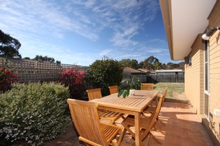 Backyard (2010-08-06)