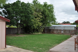 Backyard (2011-02-18)