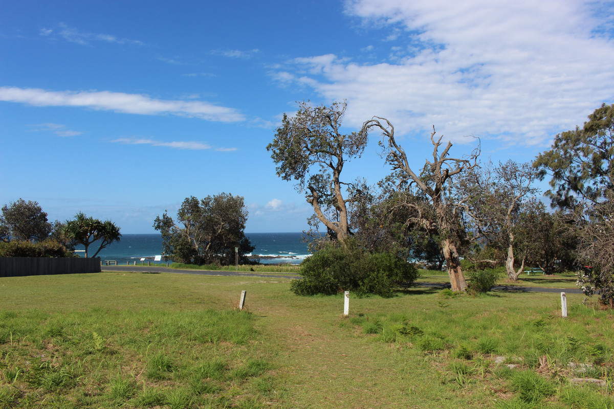 18 Grevillia Parade, Minnie Water NSW 2462 Land for Sale Allhomes