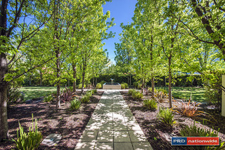 Courtyard (2014-10-10)