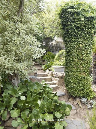 Rear garden (2007-03-01)