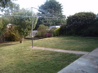 Backyard (2009-05-26)