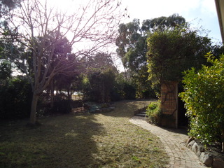 Backyard (2011-06-22)