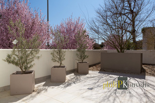 Patio (2015-09-23)