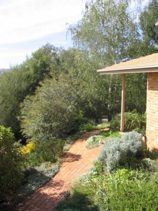 Garden (2004-04-20)