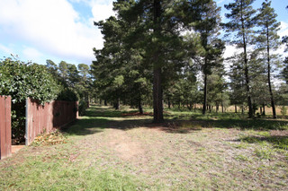 Parkland (2010-05-06)