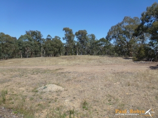 Paddock (2013-02-08)