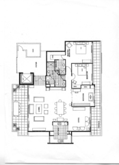 Standard Photo (2019-04-15)