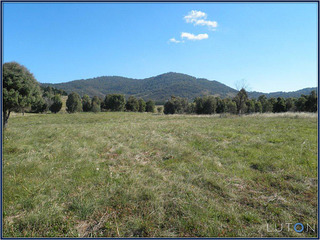 Excellent Pasture (2012-04-19)