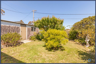Rear garden (2013-11-04)