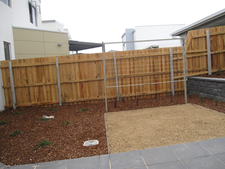 Standard Photo (2012-08-24)
