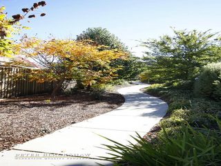 Path (2011-08-05)