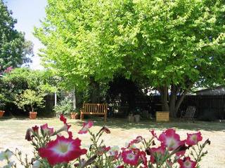 Back garden (2004-02-03)
