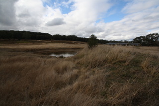 Standard Photo (2011-09-12)