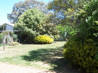 Backyard (2006-10-14)