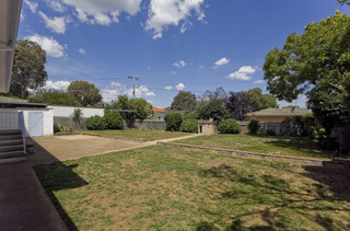 Backyard (2010-01-11)