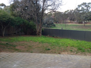 Backyard (2013-09-04)