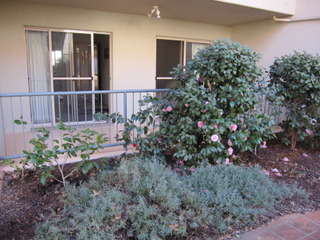 Garden (2014-06-15)