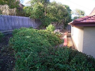 Rear garden (2006-04-18)