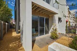 Standard Photo (2018-10-03)