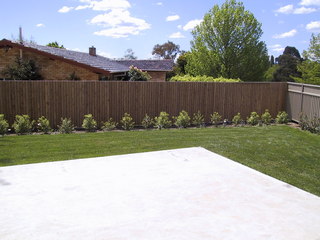 Yard (2004-10-26)