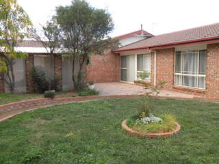 Backyard (2011-11-24)