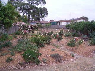 rose garden (2006-11-07)