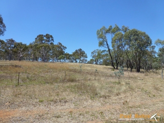 Paddock (2013-02-08)