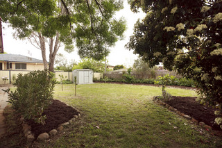 Backyard (2010-10-28)