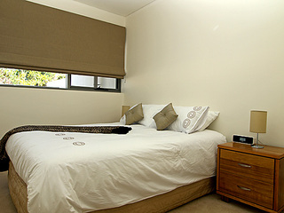 Main (2008-11-05)