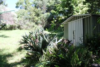 8a McKenzie Avenue Wollongong - Yard 2 (2015-03-04)