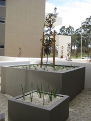 Garden (2008-10-20)
