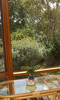 Garden view (2004-03-11)