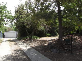 DRIVE WAY (2009-12-23)