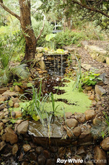 Water Feature (2011-03-17)