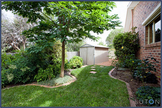 Backyard (2011-01-18)