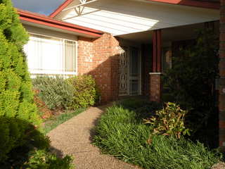 Frontyard (2011-11-24)