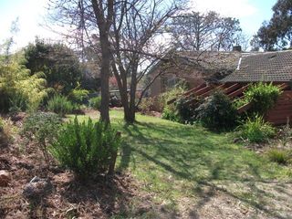 Frontyard (2012-11-13)