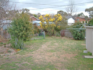 Backyard (2006-08-24)