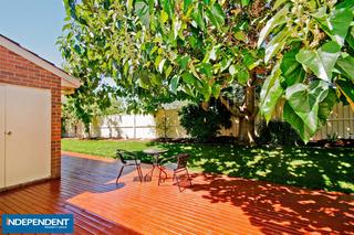 Paulownia tree/Deck (2012-03-07)