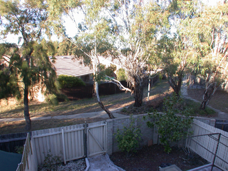 View (2007-05-21)