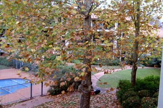 Main (2007-04-30)
