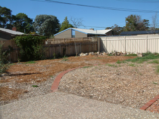 Backyard (2004-04-19)