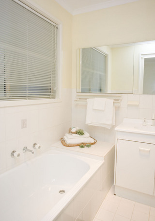 Bathroom (2008-07-09)
