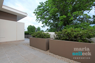 Rear Terrace (2011-11-18)