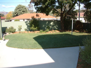 Backyard (2003-04-23)
